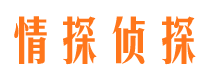 城关市调查公司